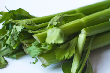 Does Celery Have Fiber