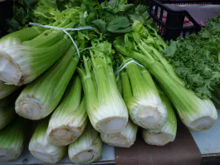 is Celery Good for Diabetics